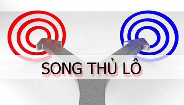 Cách nuôi lô song thủ khung 3 ngày